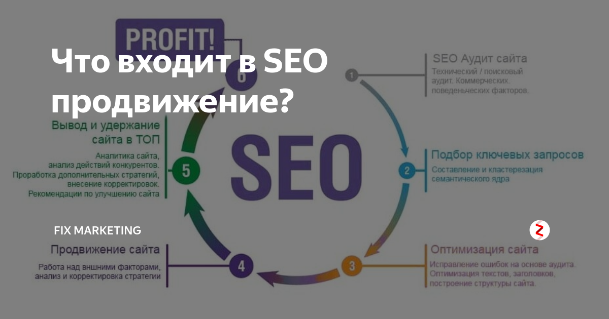 С чего начать обучение SEO и как понять, что это «твоё»