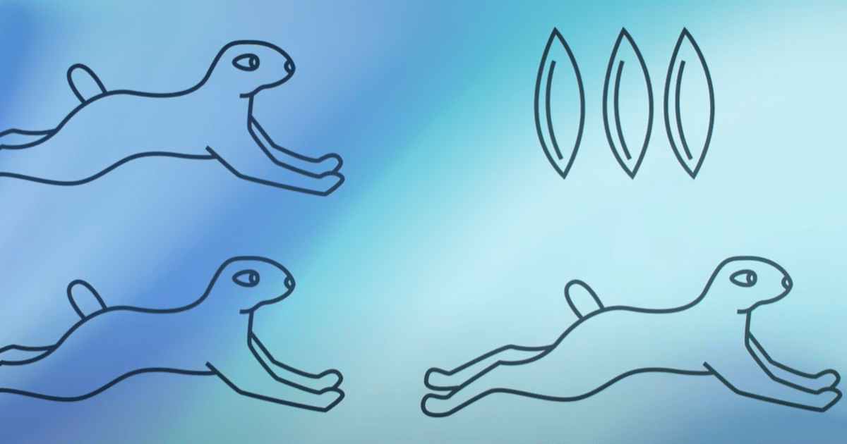 Загадки для тренировки мозга: заяц с одним ухом, пароход из Гавра и лабиринт с правым поворотом