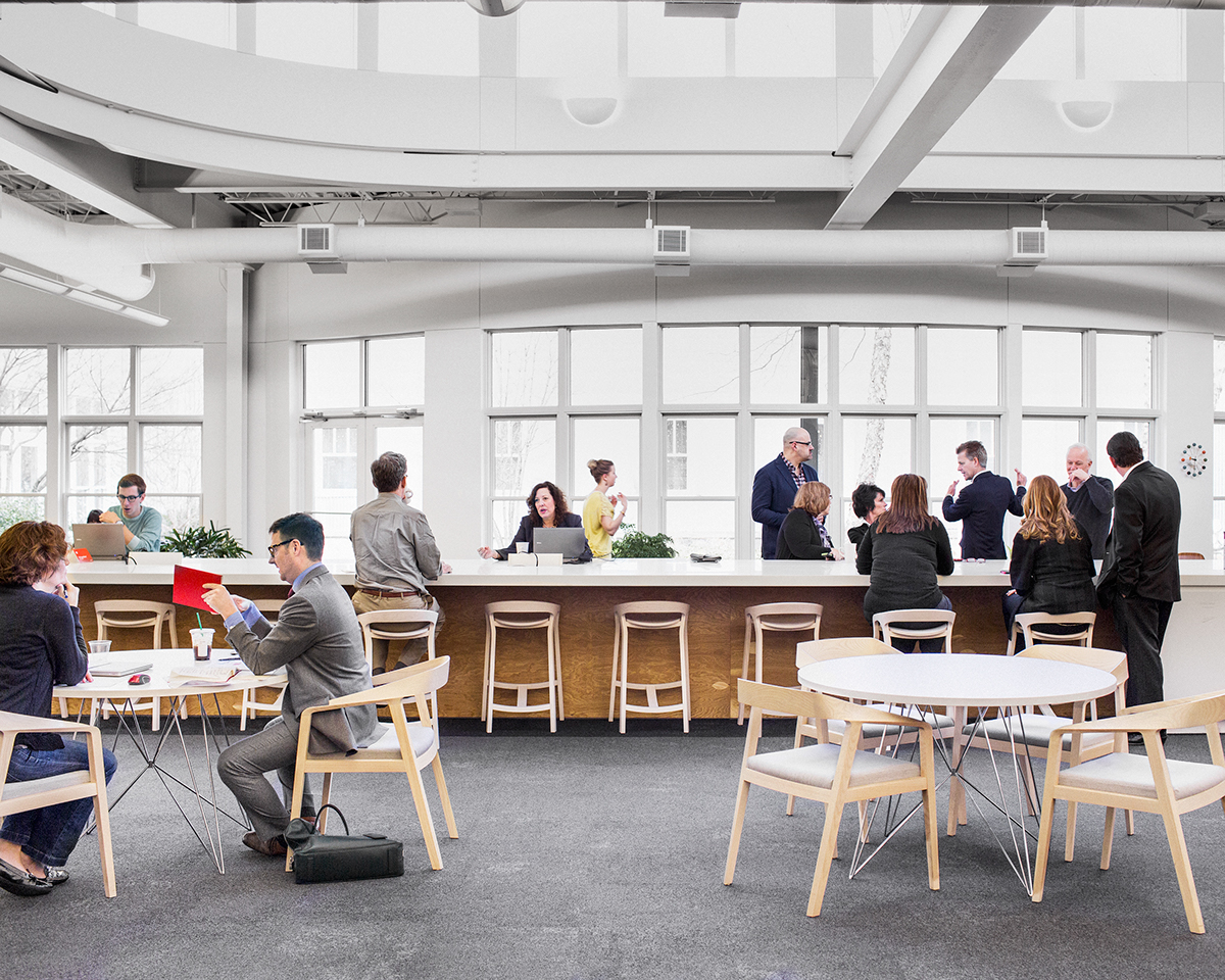 Бизнес и экология. В компании Herman Miller наняли на работу пчёл