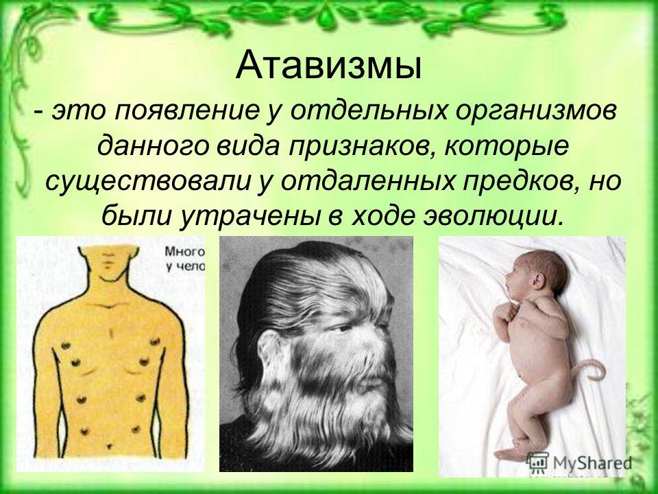 PPC-атавизмы — пять подходов, которые утратили актуальность