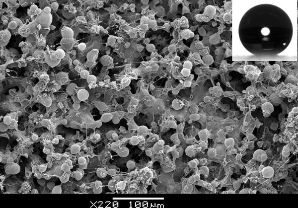 [SEO настоящего] под микроскопом