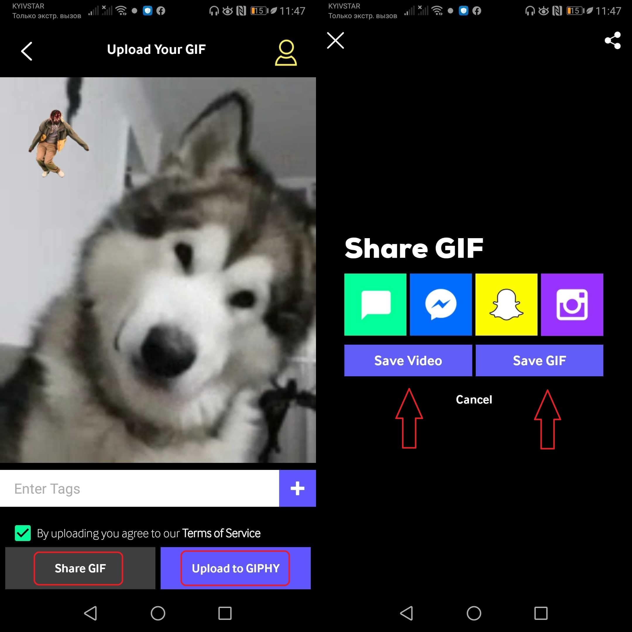 Как сделать гифку из видео — два способа для новичков