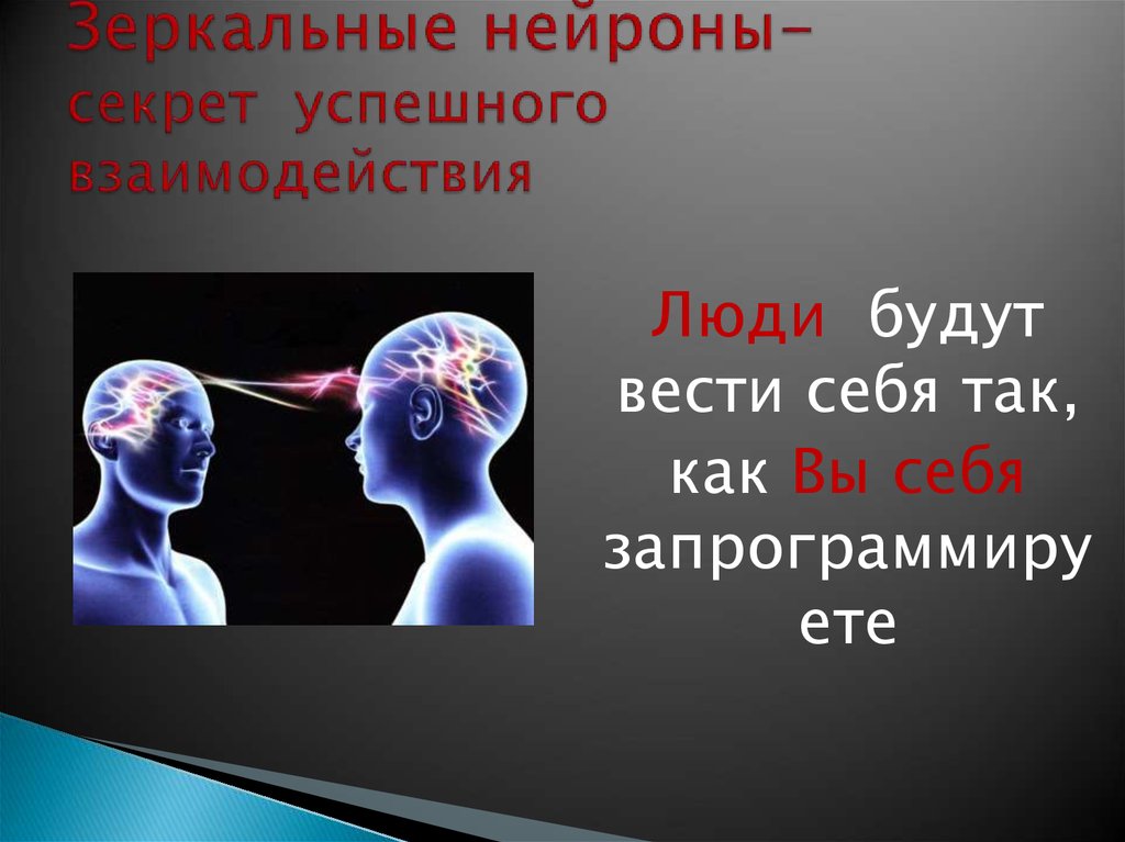 Действие зеркальных нейронов