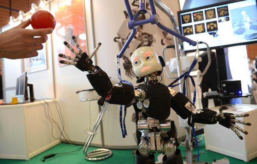 Что такое краулинг и как управлять роботами