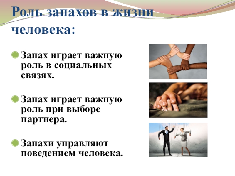 Какую роль играют запахи?