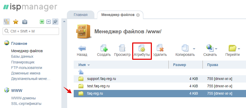 Как загрузить файл в корневой каталог сайта