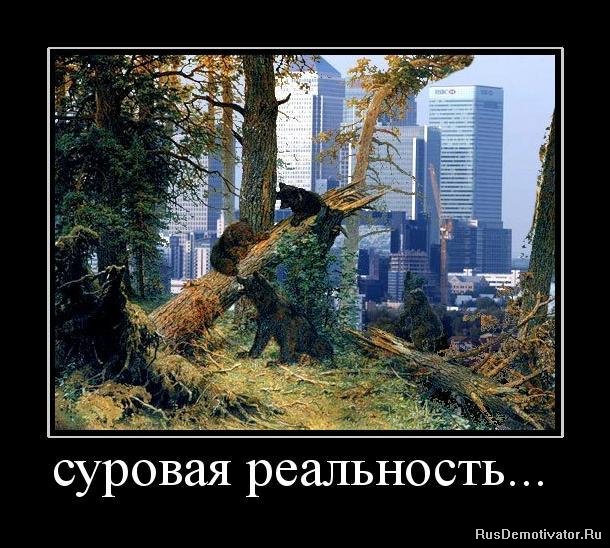 Альтернативы Кучину: суровая реальность