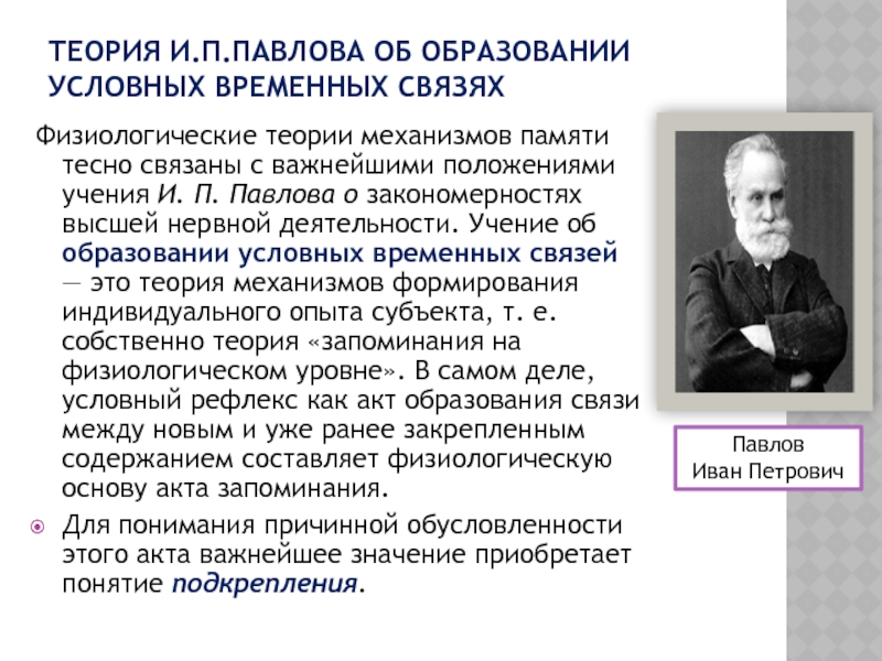 Наследники Ивана Павлова вскрывают механизмы памяти
